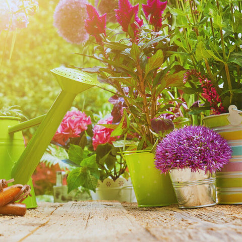 Raindrop Dr.Neu: Il Tuo Alleato nel Giardinaggio Contro il Calcare